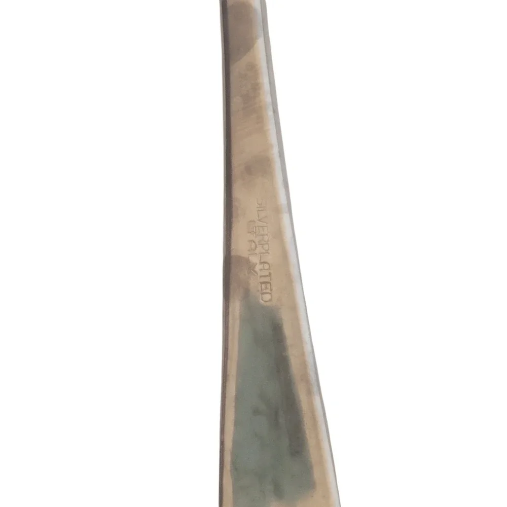 Silverplated Italy silverware features pasta
